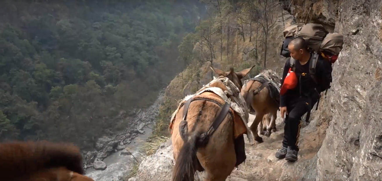 Narrow Path - on the Manaslu trek