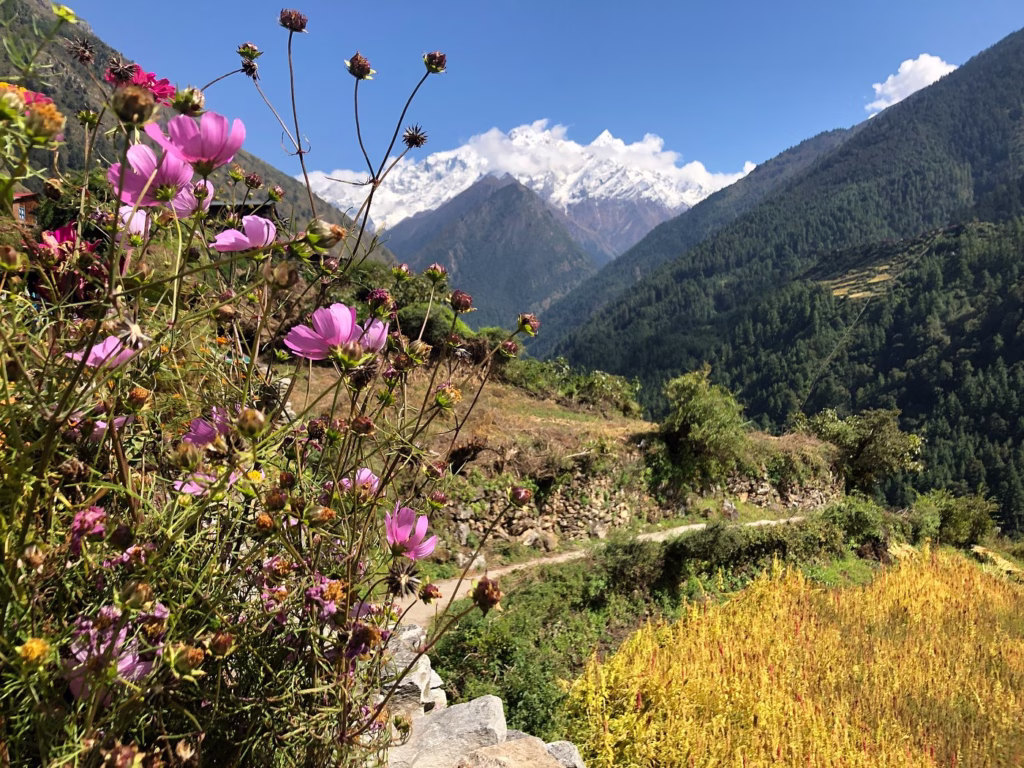 Reviews 3 Flowering Time in Tsum Valley